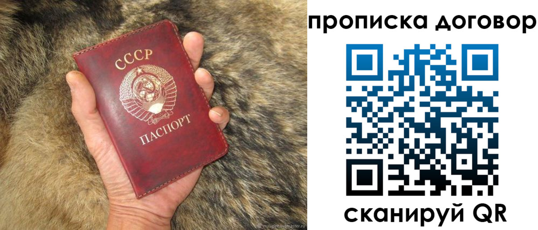 прописка регистрация в Галиче